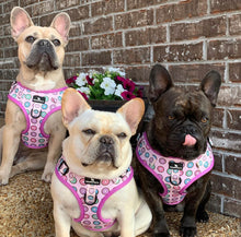 Load image into Gallery viewer, Sprinkled with Love Step-In Adjustable Donut Harness