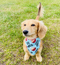 Load image into Gallery viewer, Stud Muffin Reversible Bandana