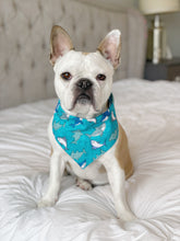 Load image into Gallery viewer, Shark Frenzy Reversible Bandana