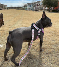 Load image into Gallery viewer, Sprinkled with Love Step-In Adjustable Donut Harness