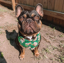 Load image into Gallery viewer, Silly Sloths Reversible Bandana