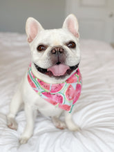 Load image into Gallery viewer, Watermelon Sugar Reversible Bandana