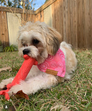 Load image into Gallery viewer, Starbarks Reversible Bandana