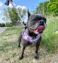 Load image into Gallery viewer, Sprinkled with Love Step-In Adjustable Donut Harness