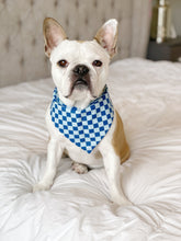 Load image into Gallery viewer, Shark Frenzy Reversible Bandana