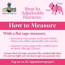 Load image into Gallery viewer, Sprinkled with Love Step-In Adjustable Donut Harness