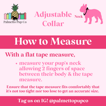 Load image into Gallery viewer, Sprinkled with Love Donut Collar