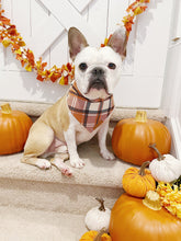 Load image into Gallery viewer, Thankful Reversible Bandana