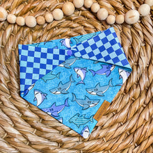 Load image into Gallery viewer, Shark Frenzy Reversible Bandana