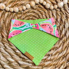 Load image into Gallery viewer, Watermelon Sugar Reversible Bandana