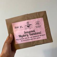 Load image into Gallery viewer, Rocko’s Mystery Bandana