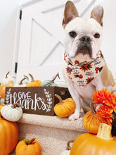 Load image into Gallery viewer, Thankful Reversible Bandana
