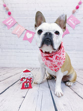 Load image into Gallery viewer, I Chew’s You Reversible Bandana