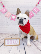 Load image into Gallery viewer, Stud Muffin Reversible Bandana