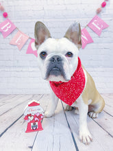 Load image into Gallery viewer, I Chew’s You Reversible Bandana