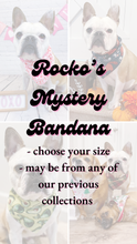 Load image into Gallery viewer, Rocko’s Mystery Bandana
