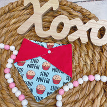 Load image into Gallery viewer, Stud Muffin Reversible Bandana