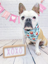Load image into Gallery viewer, Stud Muffin Reversible Bandana
