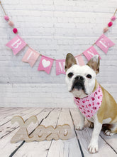 Load image into Gallery viewer, Plaid Valentine Reversible Bandana
