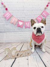 Load image into Gallery viewer, Plaid Valentine Reversible Bandana
