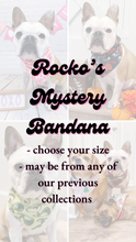 Load image into Gallery viewer, Rocko’s Mystery Bandana
